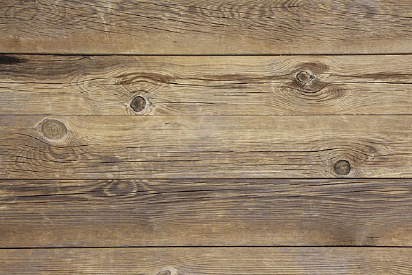 ľ����������