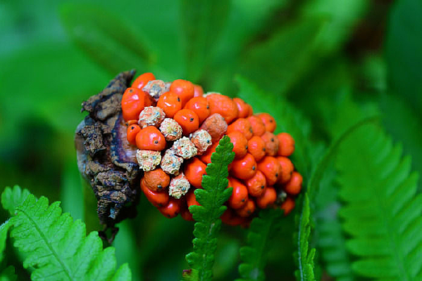 һ�����Ļ���