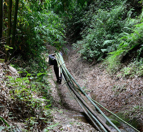 �񺣱�����