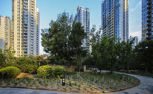 סլ�����̻�