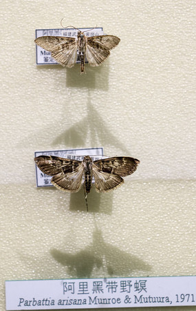 �������Ұ��