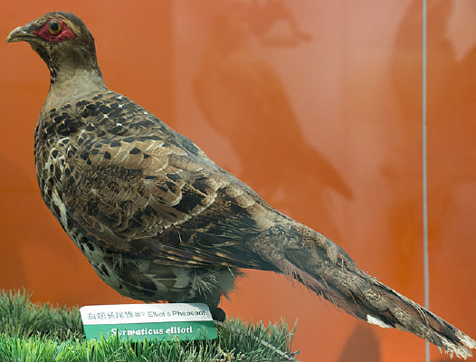 ��β��β��