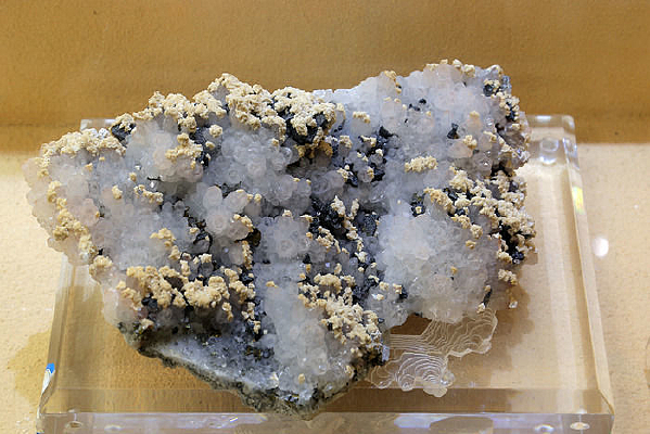 ��ͭ���ͭ����