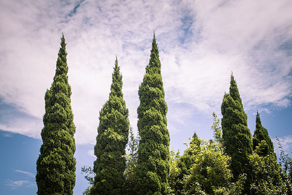 �д���ɰغ��������