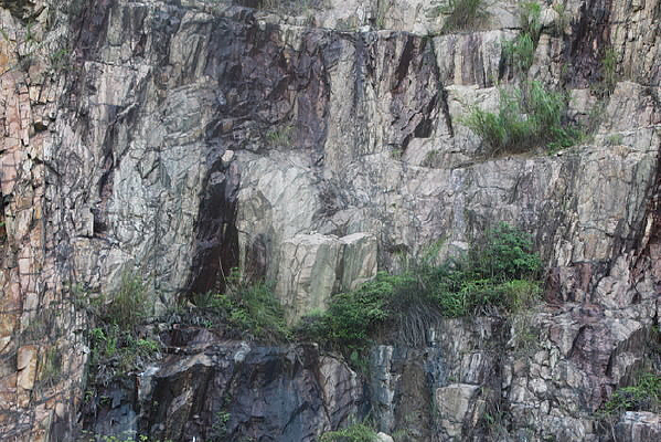 ��᾵�ɽ��