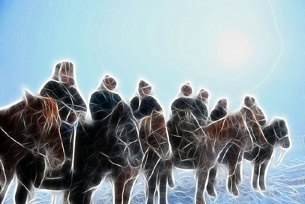 ���Ի�����ԭ���ӡ�