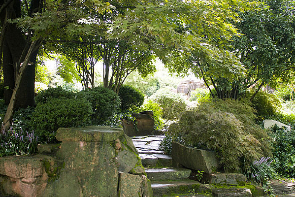 ��Ҷ�µ�С·