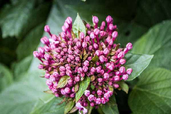 ��ĵ����