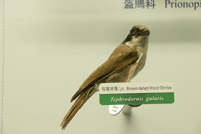 �������V