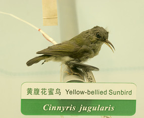 �Ƹ�������