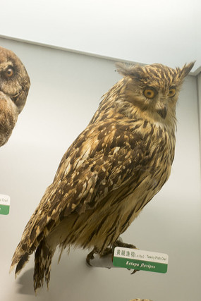 �������^