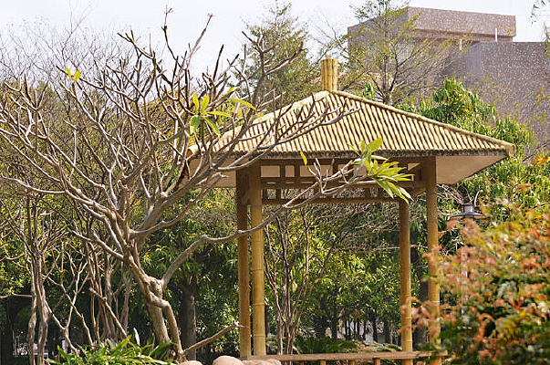 ����������ͤ��ͼƬ