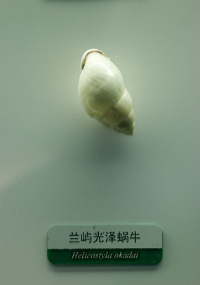 ���������ţ