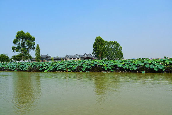 �����ĺɻ�����