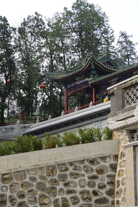 ����ͤ��