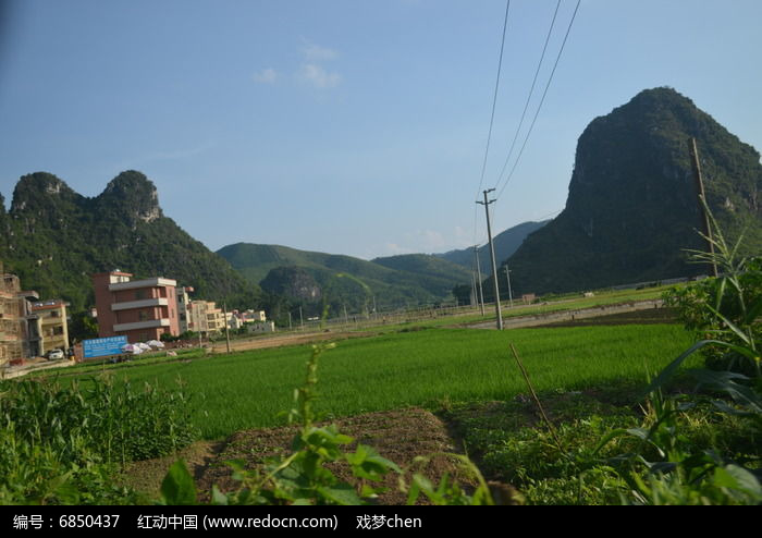 山村水稻風景圖片