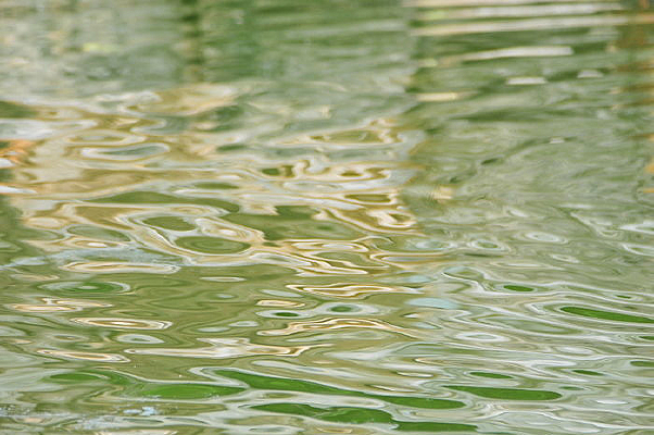 ˮ������