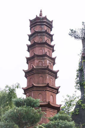 ��ľ��ĺ�ˮ����