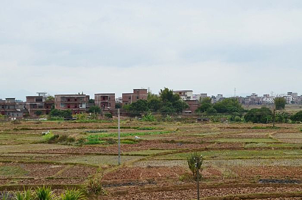 ��Ұ��Ȼ���ͼƬ