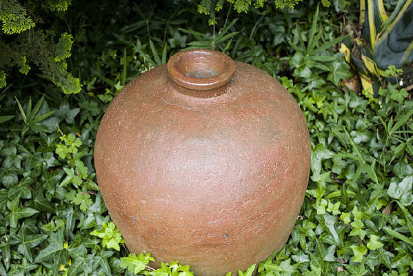 �ݴ������ɫ�չ�