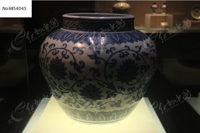 ��֦���ƹ�ͼƬ