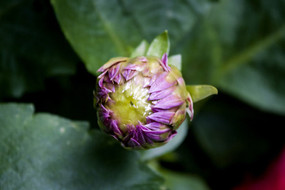 �������Ļ��Ƕ�