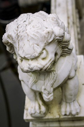 ����ʯСʨ�ӵ���