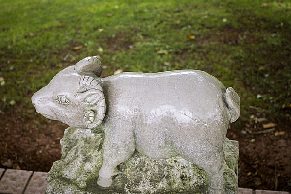 ����ʯ�����