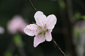 ���۵��滨