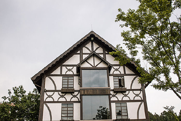 �����Ե�ŷ�޽���