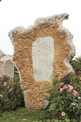 ���ſ���ʯ