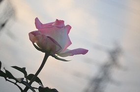 �������ŵ�һ���¼����羰ͼƬ