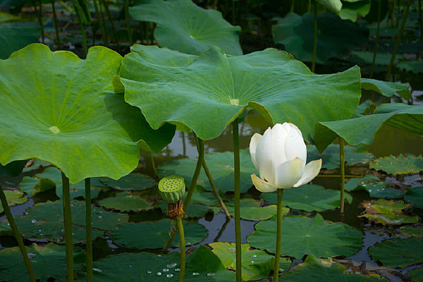 �ӳ�����