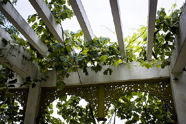 �����ϵ�������