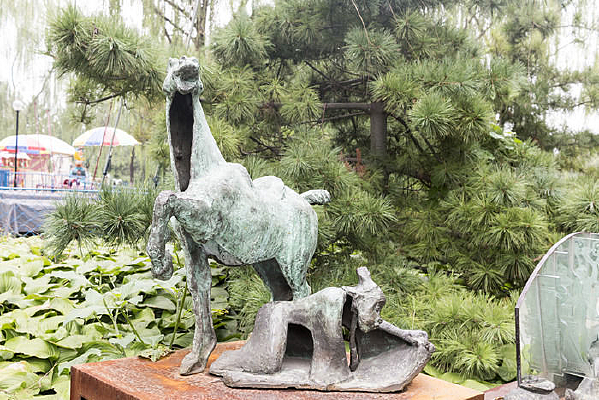 ����ʶ;��������