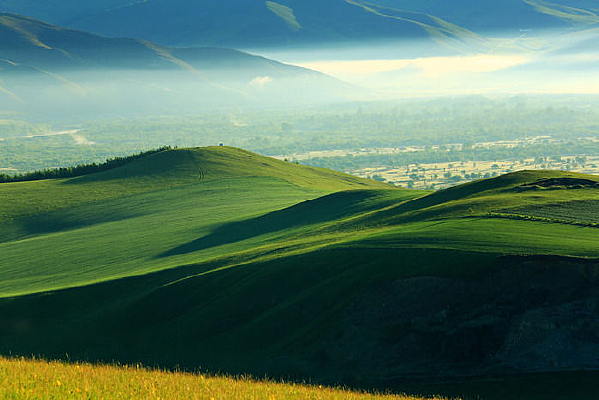 ɽ������