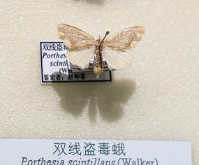 ˫�߱I����