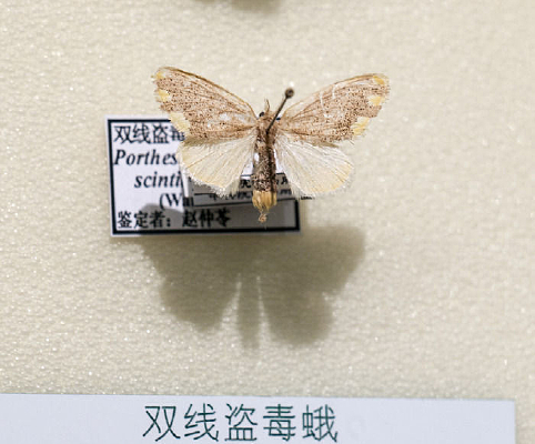 ˫�߱I����