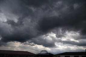 �����ܲ�