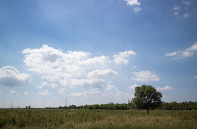 ������԰���