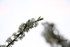 ��ʵ������滨