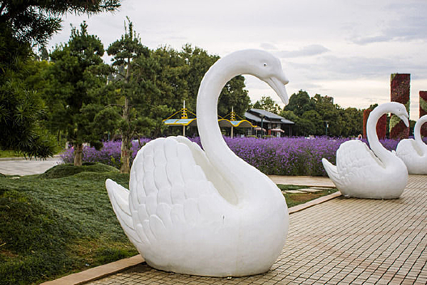 һֻ��ɫ������