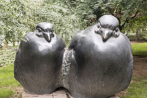 ����������