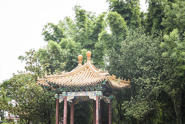 �����µĺ�ɫͤ��