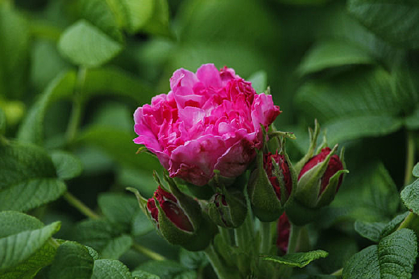 �뿪�ۺ��װ���ĵ��