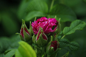 �뿪�װ��컨��