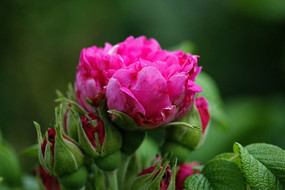 �뿪�װ���ĵ����