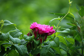 �뿪�װ���ĵ������