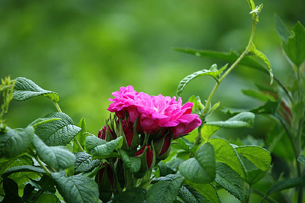 �뿪�װ���ĵ������