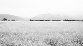 ��Ƭ�Ͳ˻��ڰ�